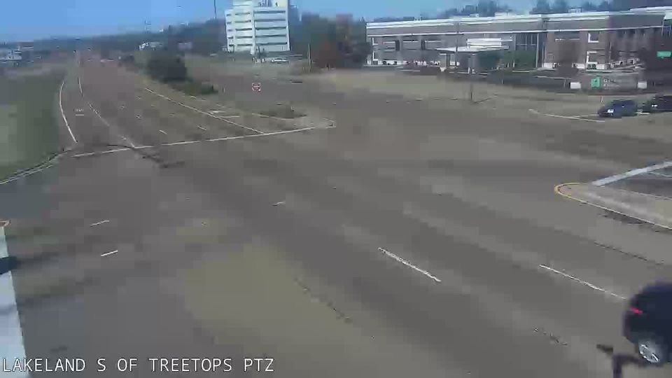 Wells: Lakeland Dr at Treetops Blvd