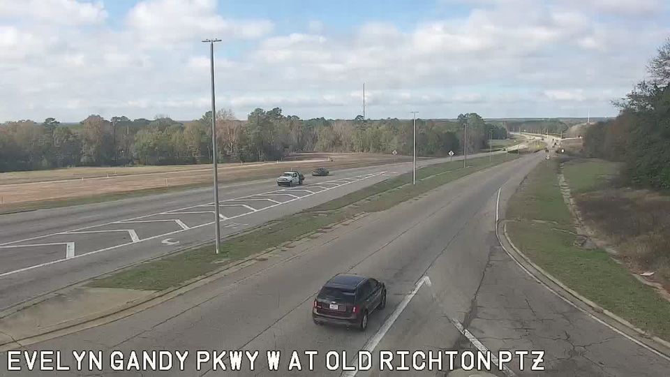 Petal: MS 42 at Old Richton Rd