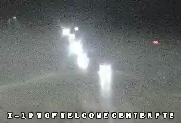 Pecan: I-10 at MS Welcome Center