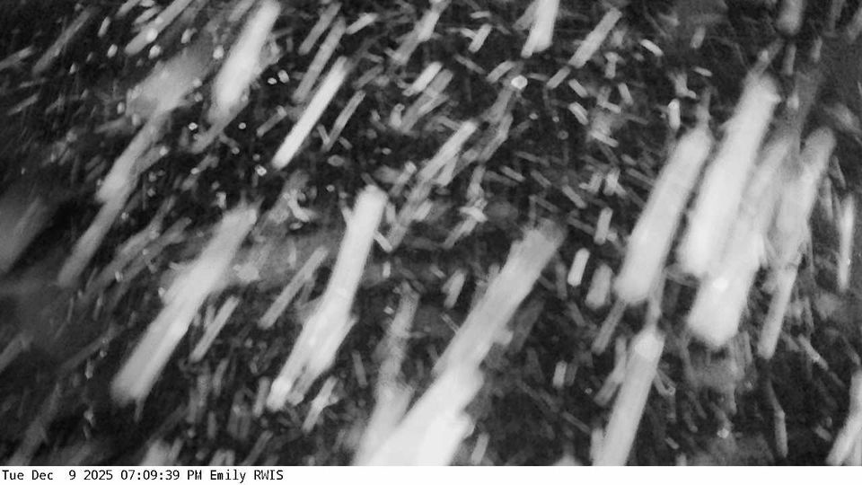 Emily: MN 6: T.H.6 - MP 29): T.H.6 - MP 29) View 1