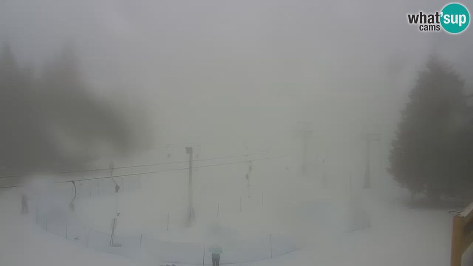 Zrece: Rogla - Uniorček