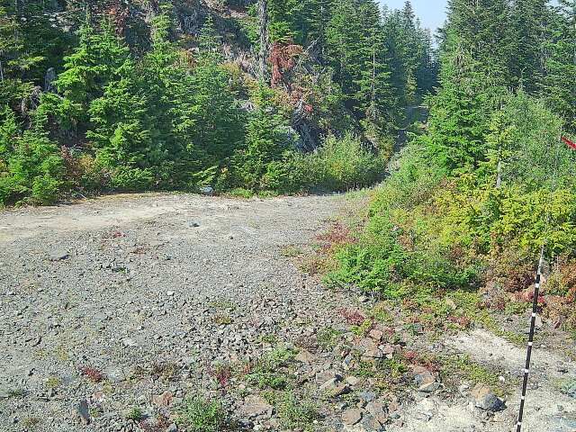Area F