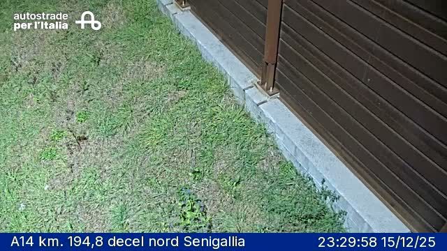 Senigallia: A14 km. 194,8 decel nord