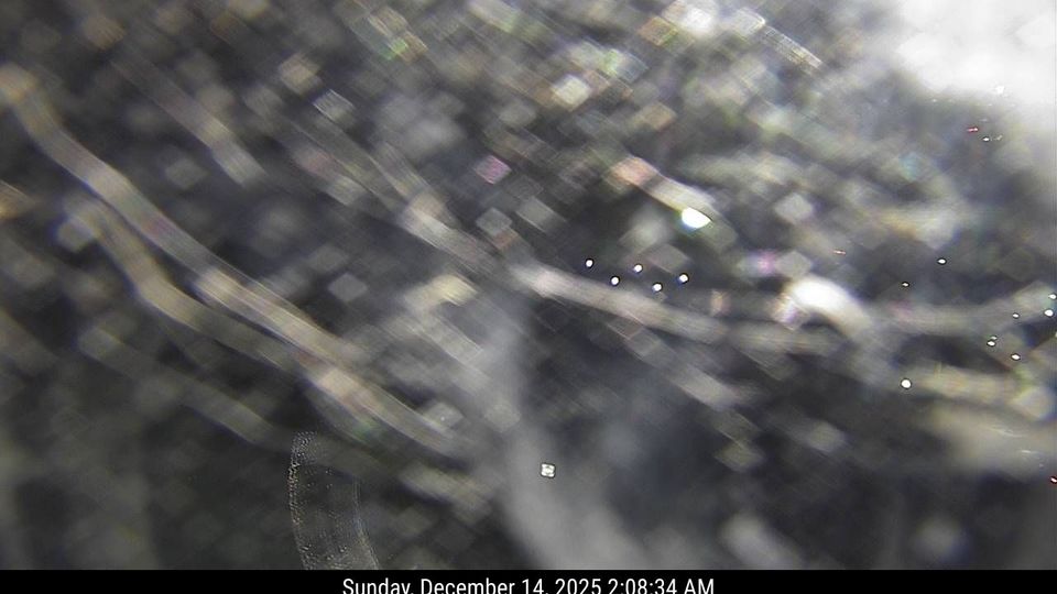 Yarmouth: I-295 Mile 17 NB - PTZ