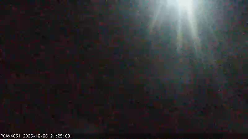 Newark: DE 1 @ Access Road B