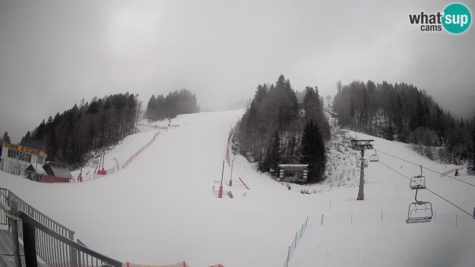 Kranjska Gora: Podkoren - Finish of Giant slalom