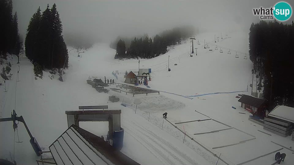 Zrece: Rogla ski resort - Planja, Košuta, Jasa