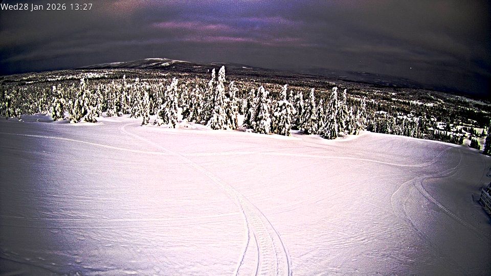 Elverum › West: Budor Skitrekk