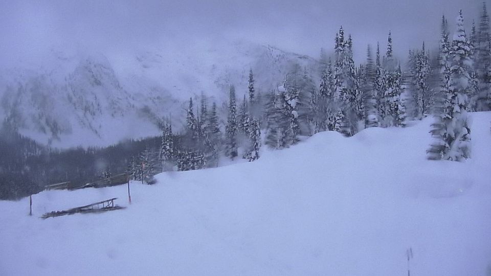 Area D › South-west