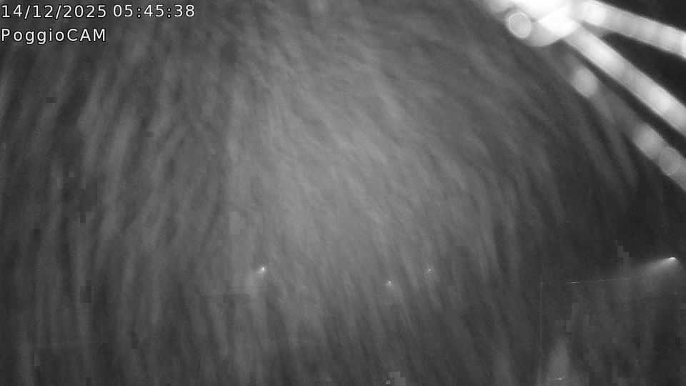 Ronciglione › South-west