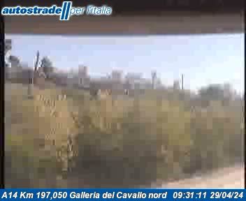 Senigallia: A14 Km 197,050 Galleria del Cavallo nord