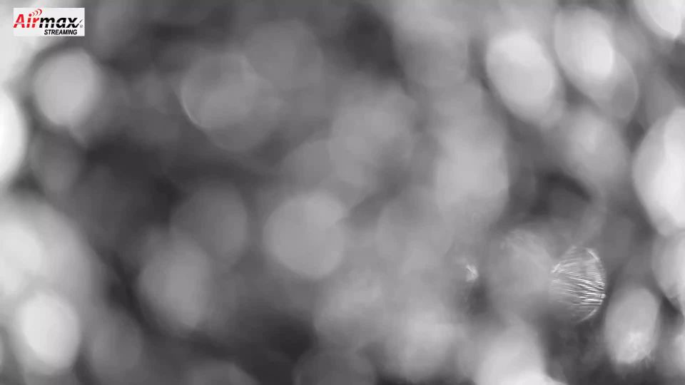 Srebrna Gora › West