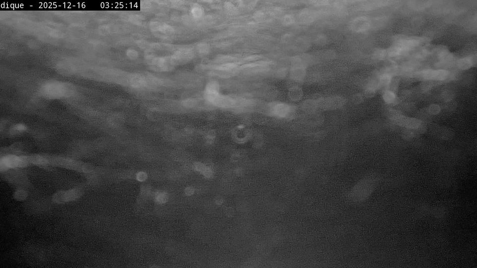 Albepierre-Bredons: Prat de Bouc