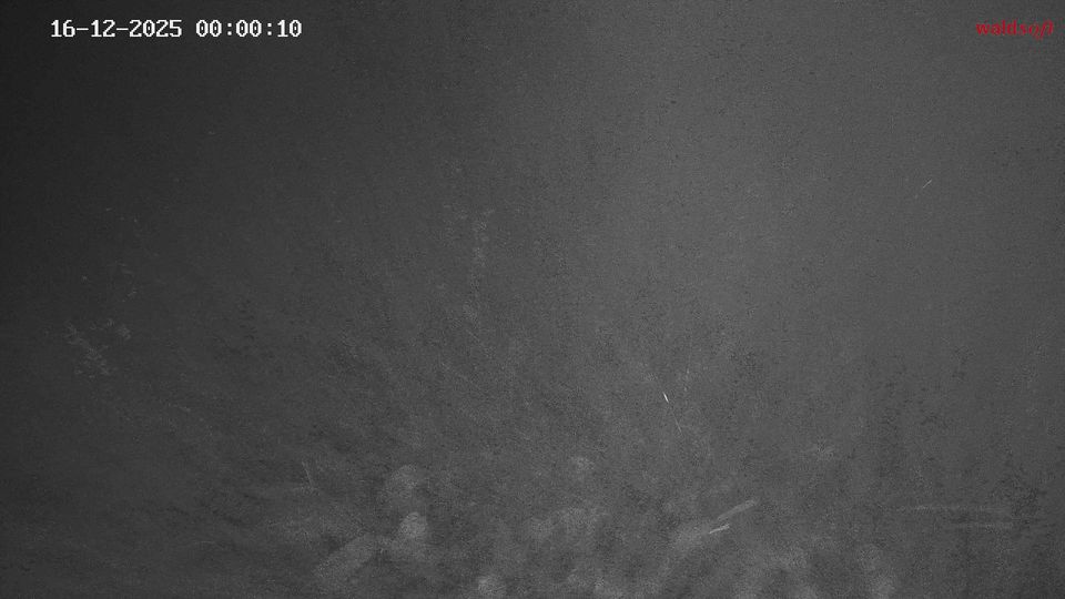 Gemeinde Arbesbach › West