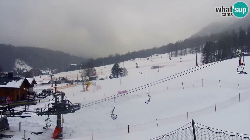 Kranjska Gora › South: LIVE cam SKI - Vitranc - Slovenia