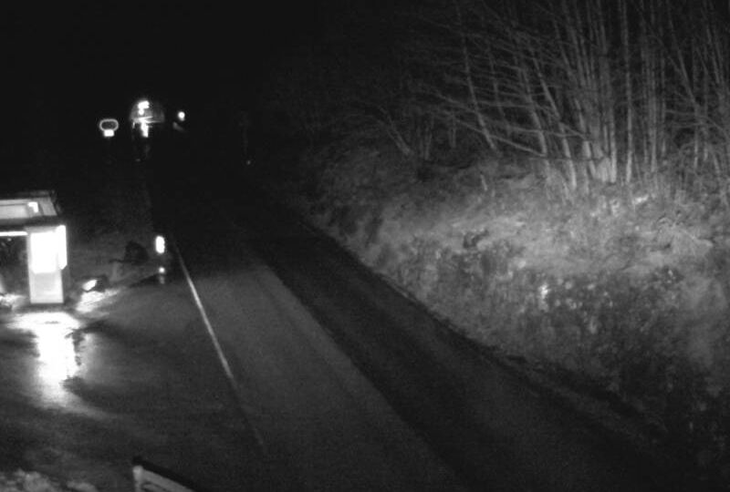 Ovre Ardal: Brennborg