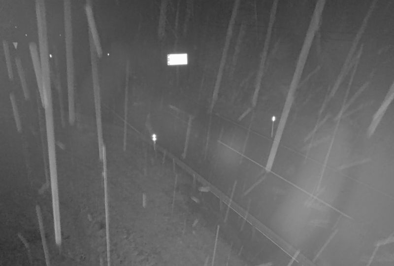 Vassenden: Svidalsneset