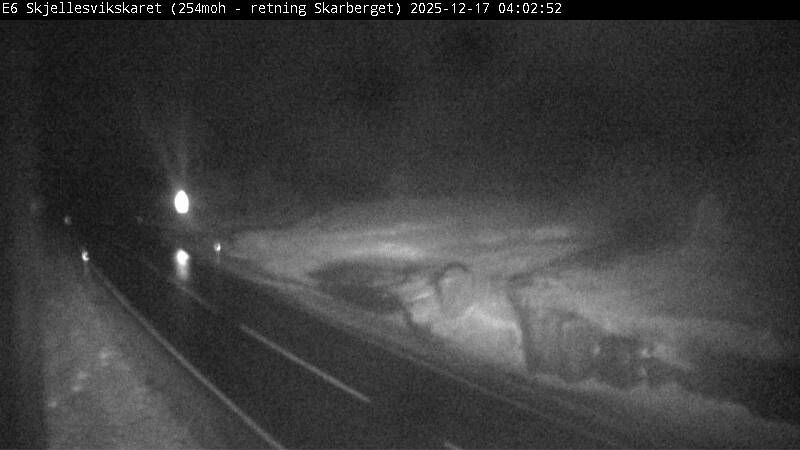 Ulvika: Skjellesvikskaret