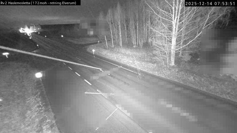 Flisa: Haslemosletta