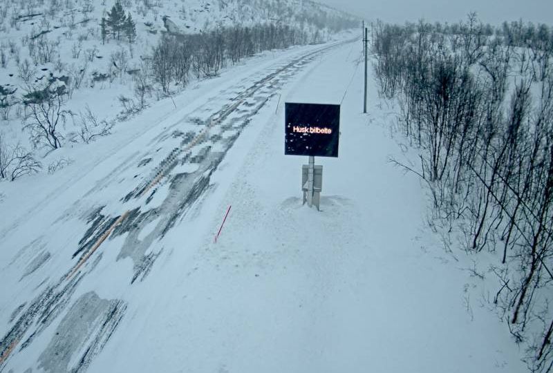 Storfjord: Øvre Helligskogen
