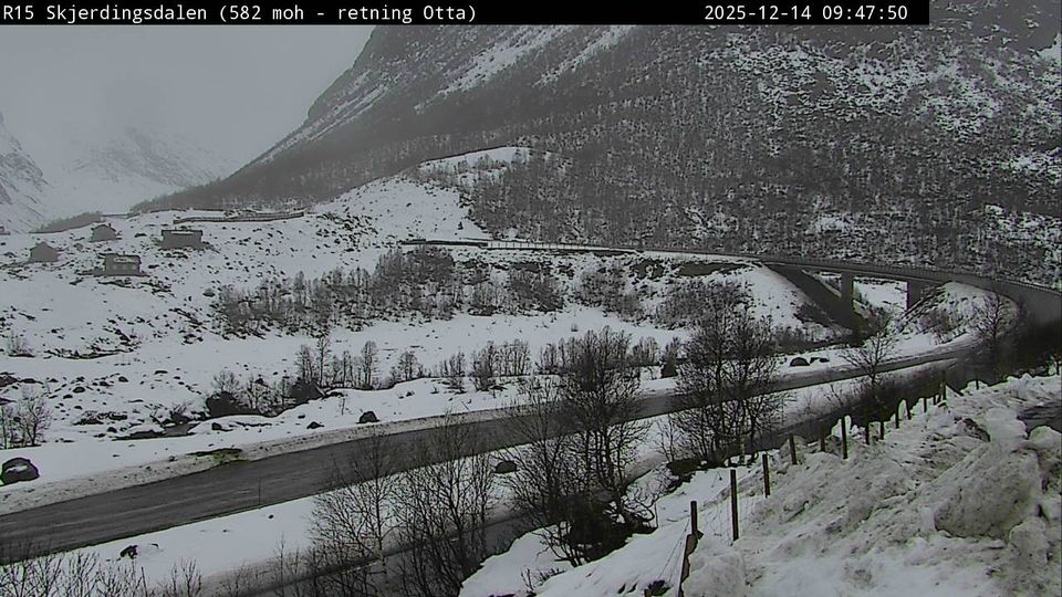 Videseter: Skjerdingsdalen