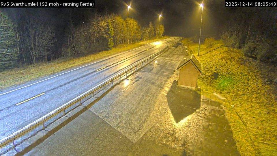 Naustdal: Svarthumle