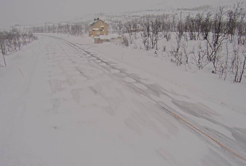 Storfjord: Perskogen