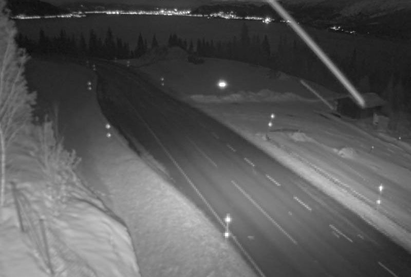 Dalsgrenda: Bustneslia