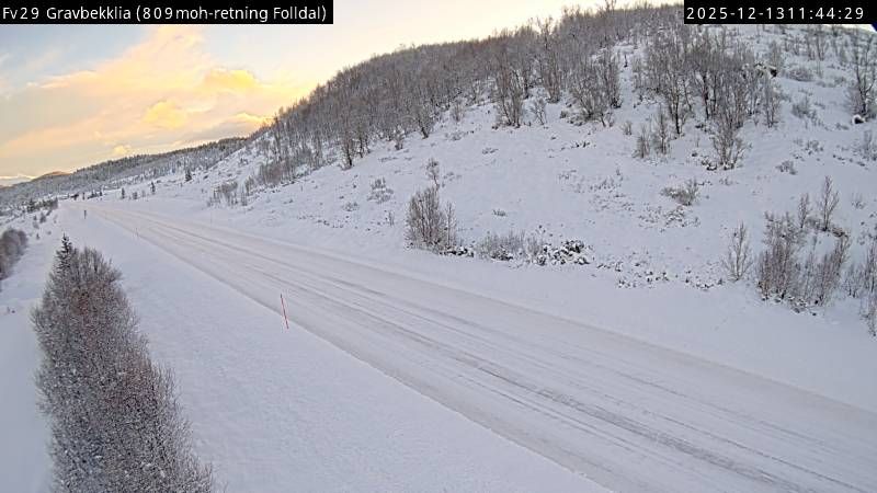 Folldal: Gravbekklia