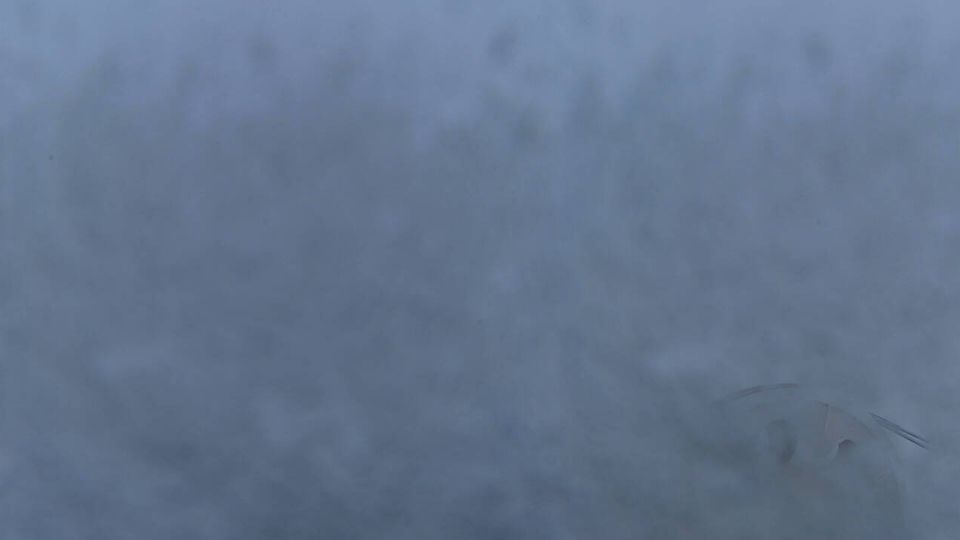 Chamonix-Mont-Blanc: Le Brévent