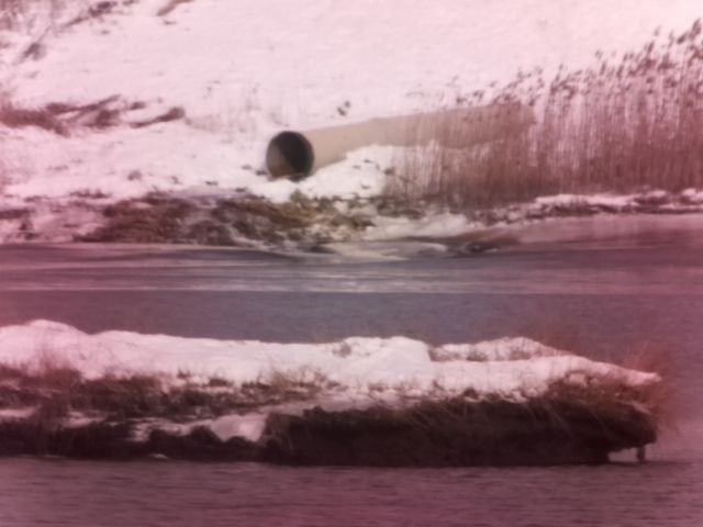 Little Silver › North