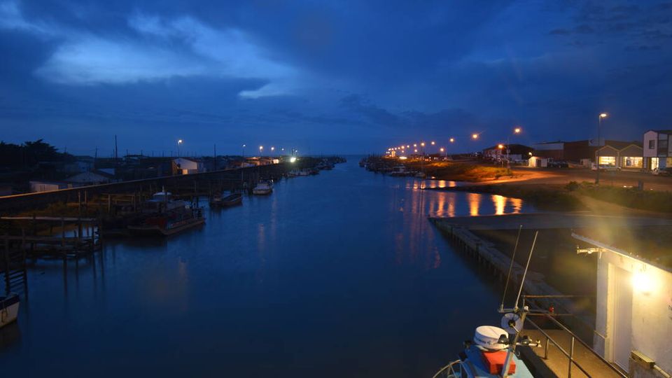 Bouin › North-west: Port du Bec