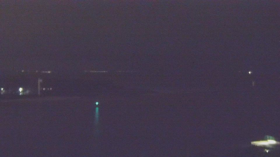 Свиноуйсьце