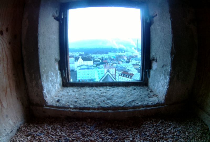 Innenstadt: Falken-Kamera-Rosenheim