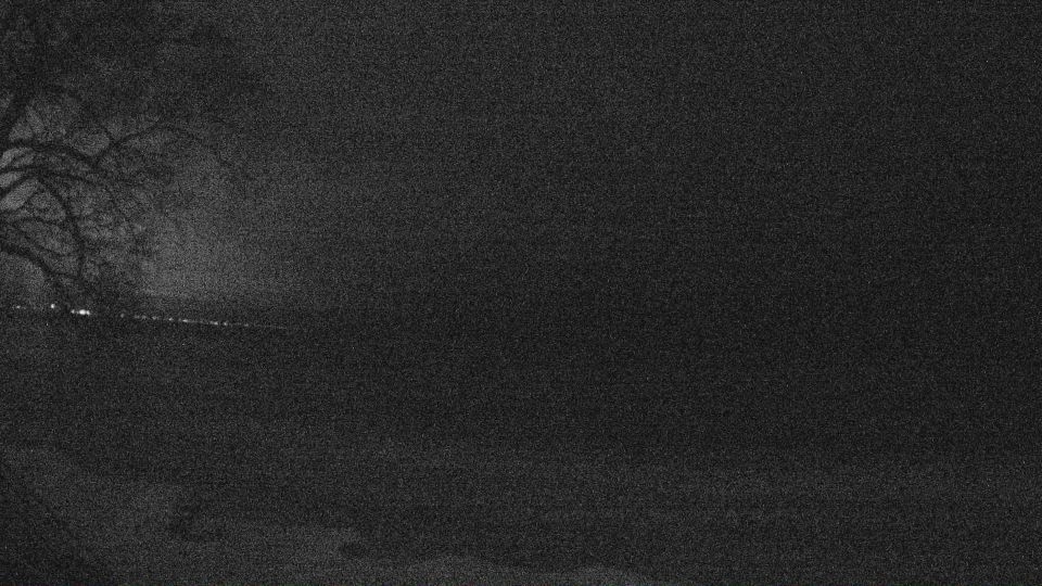 Webster › North-west