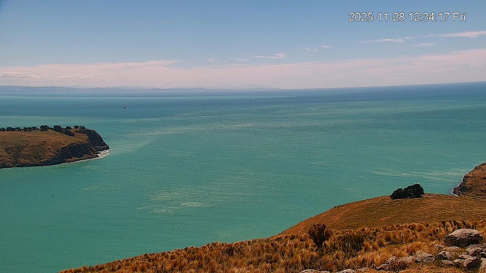 Banks Peninsula Community