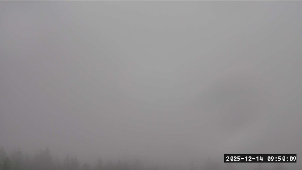 Area F: Holyoak Lake