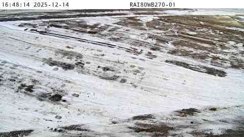 Lime City: RA80WB270 - Center