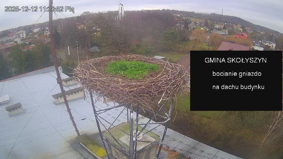 Skolyszyn › North-west