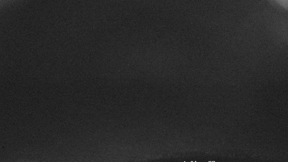 Gnarrenburg › South-east