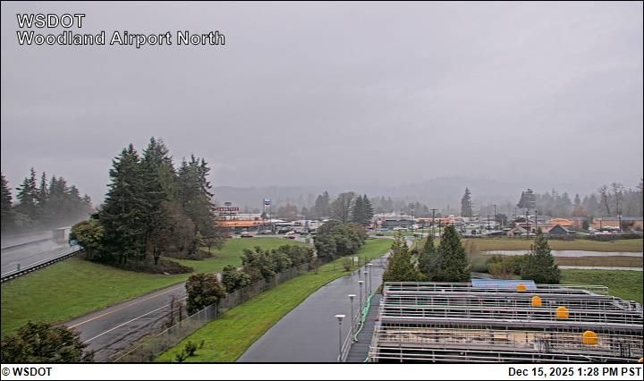 Woodland › North: North