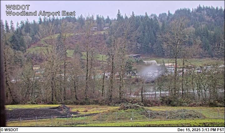 Woodland › East: East