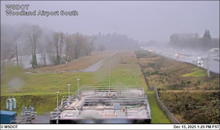 Woodland › South: South