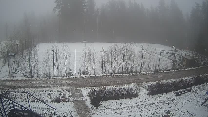 Zelenogorsk › South-west