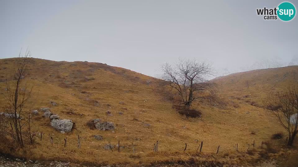 Kobarid: Webcam Krn - Planina Kuhinja ( Plateau Kuhinja ) - Slovenia