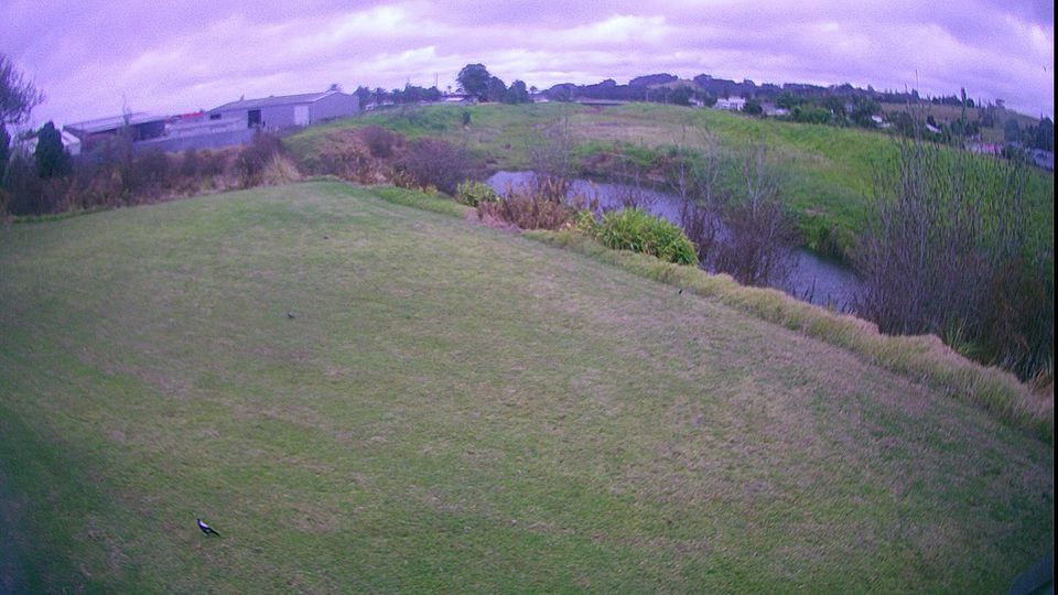 Te Hiku Community › North