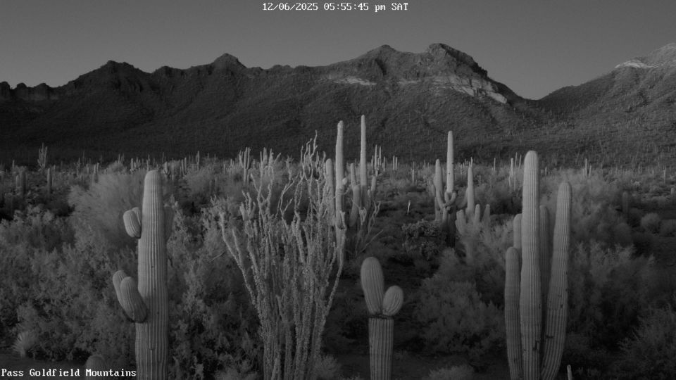 Apache Junction › East