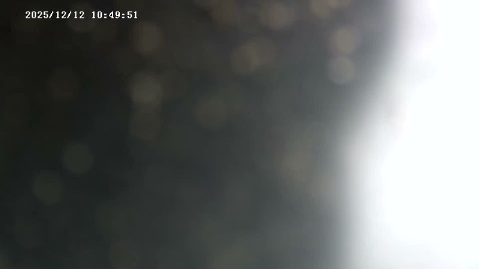 Jaworzno › North: › North