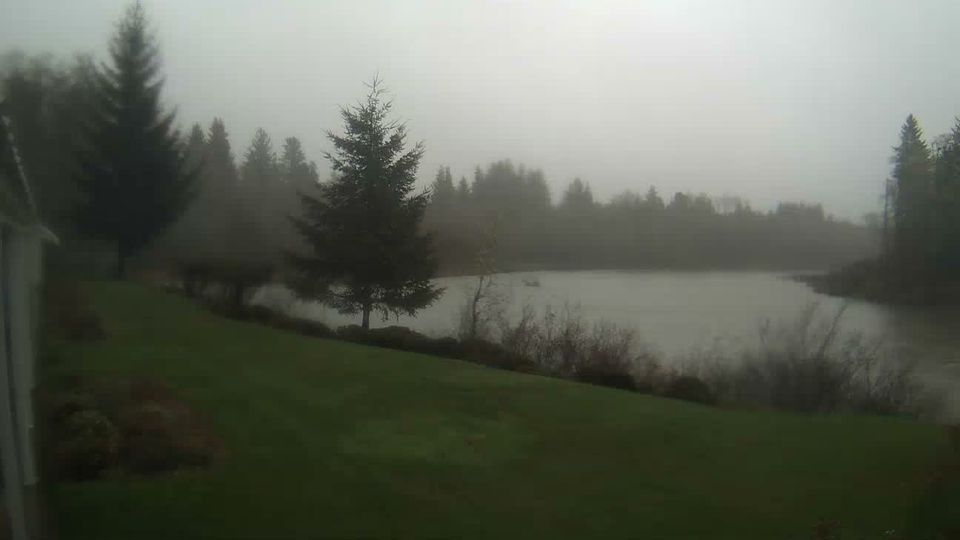 Forks › South-east