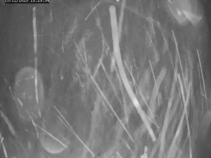 Area I › North-east